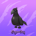 Crow
