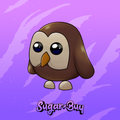 Owl