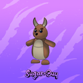 Kangaroo